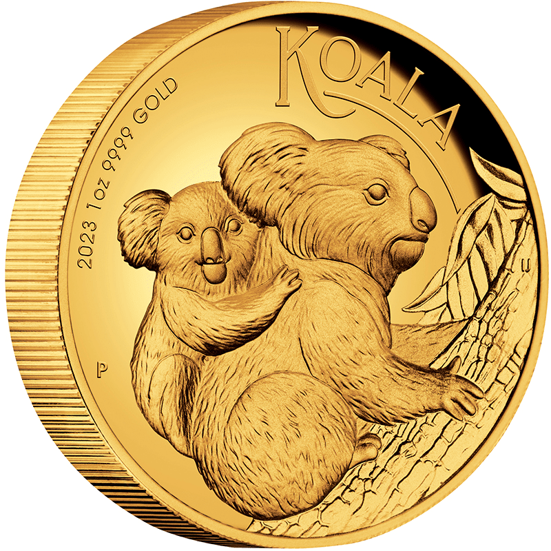 オーストラリア 2023年 コアラ 100ドル金貨 プルーフ(ハイレリーフ