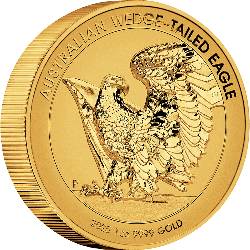 オーストラリア 2025年 オナガイヌワシ 100ドル金貨 リバース