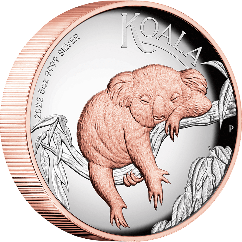 オーストラリア 2022年 コアラ 8ドル銀貨金メッキ付 プルーフ（ハイ 