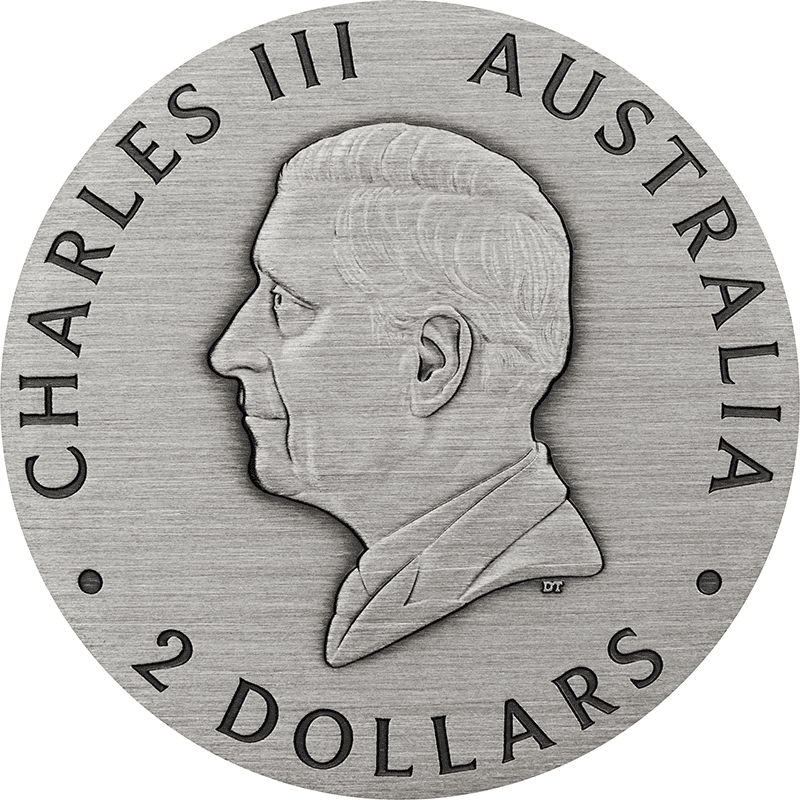 オーストラリア 2025年 セイヨウミツバチ 2ドルカラー銀貨