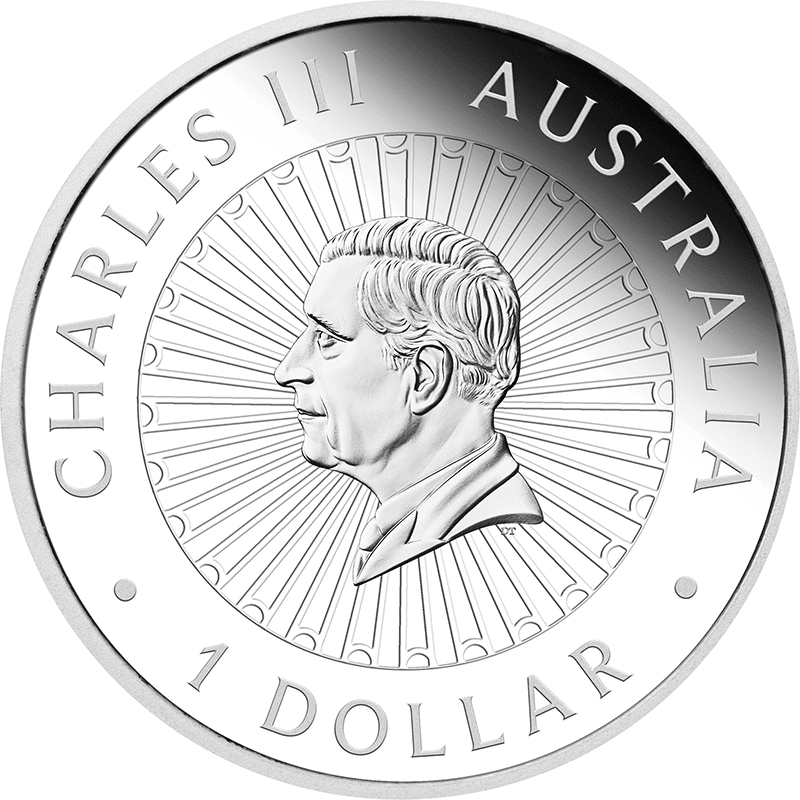 オーストラリア 2025年 オーストラリア大陸 1ドル銀貨天然石嵌め込み