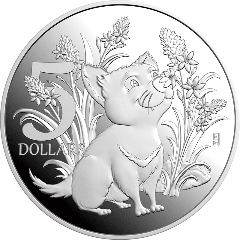 最終値下げ！クイックシルバー オーストラリア5.6 最終値下げ