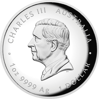 オーストラリア 2025年 クリスマスシーズンの花 50セント12角形カラー