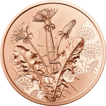 オーストリア 2022年 花言葉シリーズ タンポポ 10ユーロ銅貨 未使用