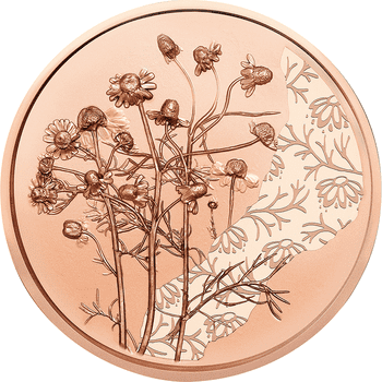 オーストリア 2023年 花言葉シリーズ カモミール 10ユーロ銅貨 未使用