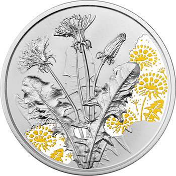 オーストリア 2022年 花言葉シリーズ タンポポ 10ユーロカラー銀貨 プルーフ