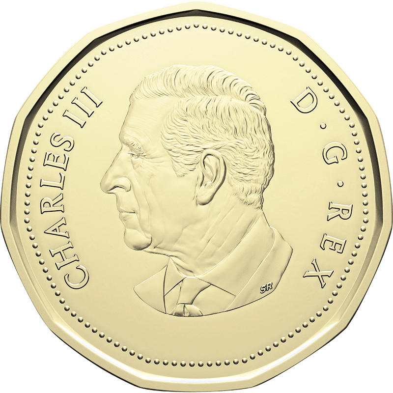 カナダ　1ドル　　硬貨　新　まとめ売り 2026年最新】カナダ 1ドル硬貨の人気アイテム - メルカリ