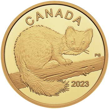 カナダ 2023年 幼いテン 10ドル金貨 プルーフ | オンラインショップ
