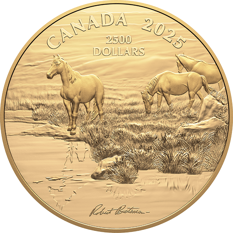 トールマン('12米/カナダ/仏) トールマン('12米/カナダ/仏) 1/12