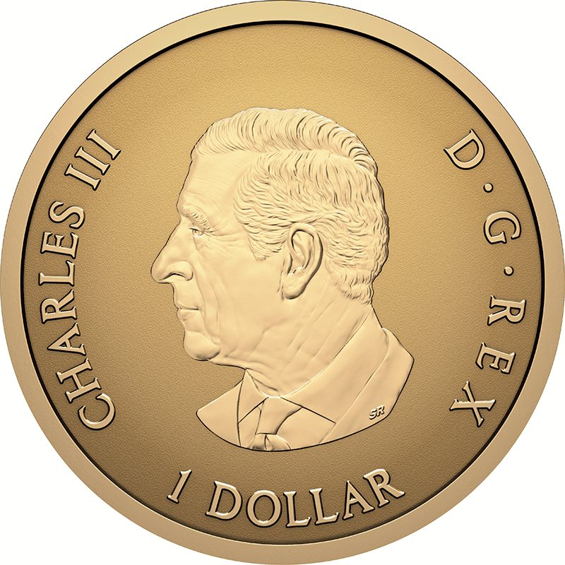 純銀　カナダ30ドル銀貨 カナダ 2024年 黄道十二宮 30ドルカラー銀貨 プルーフ