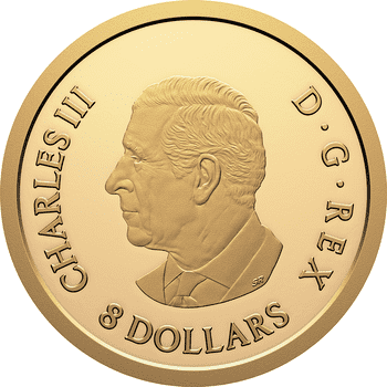 カナダ プレデターシリーズ クーガー銀貨 供給元問合せ】 カナダ 2024年 カナダの国章 13の州・準州の鳥 500ドル