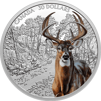 カナダ 2021年 堂々たる動物 オジロジカ 30ドルカラー銀貨 プルーフ