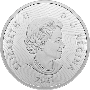 カナダ 2021年 バイソン 25ドル銀貨 プルーフ（ウルトラハイレリーフ仕上げ）