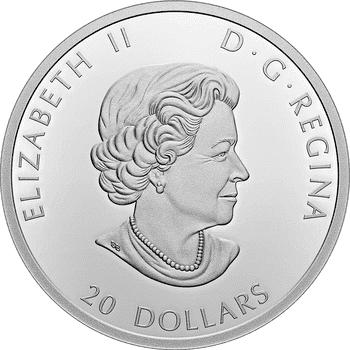 カナダ 2021年 リメンバランス・デー 20ドルカラー銀貨 プルーフ