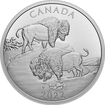 カナダ 2022年 強大なバイソン 30ドル銀貨 プルーフ