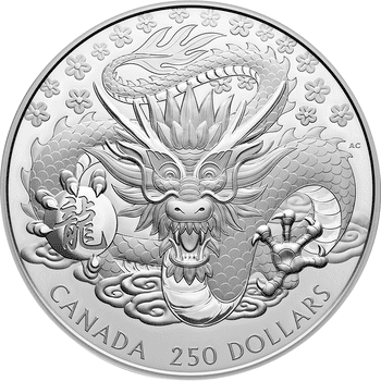 カナダ 2024年 辰年龍図 ＜1kg＞ 250ドル銀貨 プルーフ