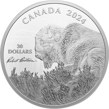 カナダ 2024年 ロバート・ベイトマン 『嵐の予感 バイソン』 30ドル銀貨 プルーフ