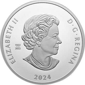 カナダ 2023年 リメンバランス・デー 20ドルカラー銀貨 プルーフ