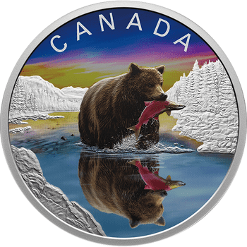 カナダ 2024年 水に映る野生生物 ハイイログマ 20ドルカラー銀貨 プルーフ