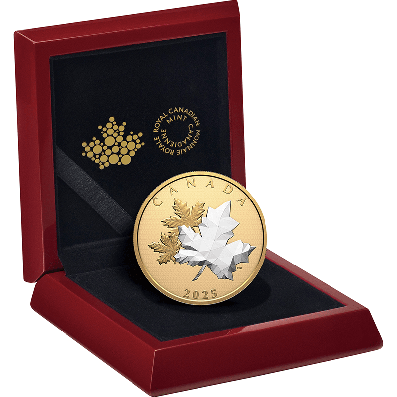 CANADA カナダ 20ドル 20 DOLLARS 2012 銀貨 メイプルリーフ