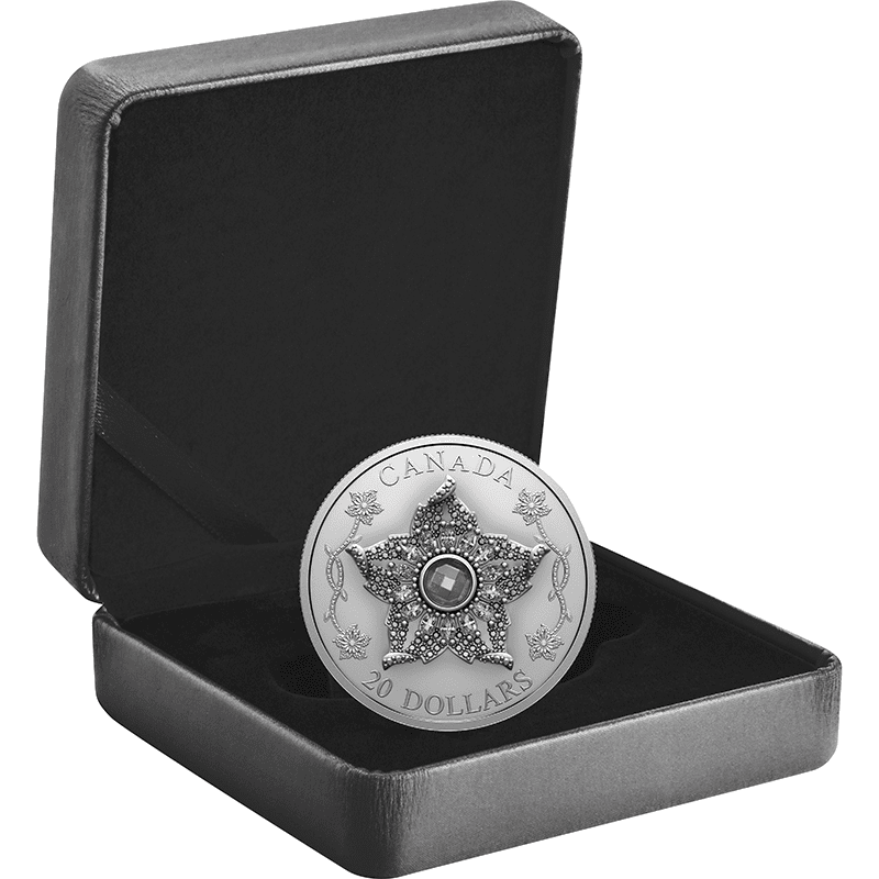 銀貨 恐竜化石 艶消しプルーフ ロジウム NGC PF70 最高鑑定 ER 純銀 銀貨 恐竜化石 艶消しプルーフ ロジウム NGC PF70 最高鑑定 ER