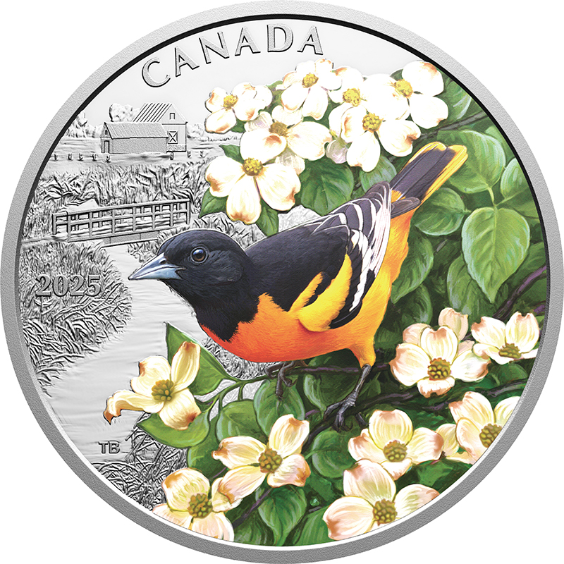 カナダ 2025年 ボルチモアムクドリモドキ 20ドルカラー銀貨 プルーフ