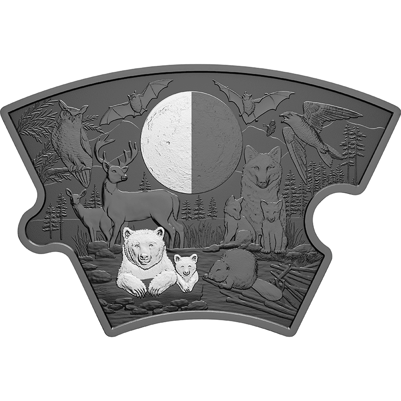 カナダ 2025年 月の満ち欠け 190ドルパズル型銀貨ロジウムメッキ付(50