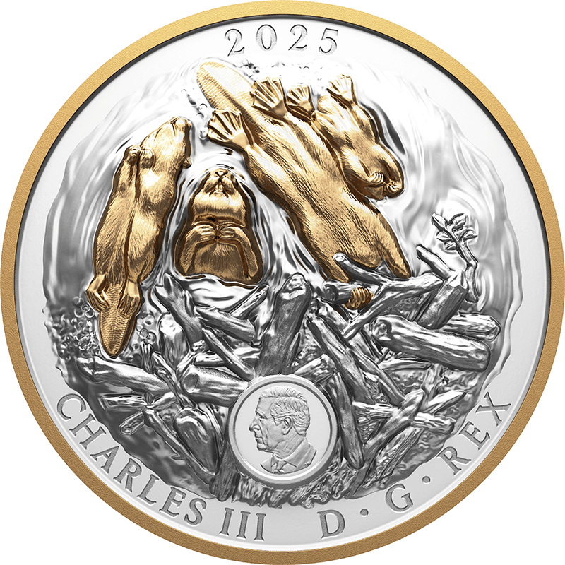 はな　アメリカーナ2株セット 楽天市場】アメリカーナ（車・バイク）の通販