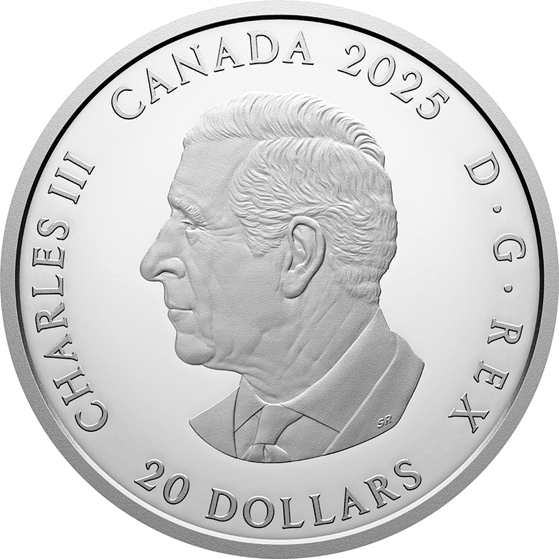 【カナダ銀貨】幾何学芸術 1オンス銀貨 ビーバー 2016 ジオメトリー アート 1 oz. Pure Silver Coin - Geometry in Art: Beaver - Mintage