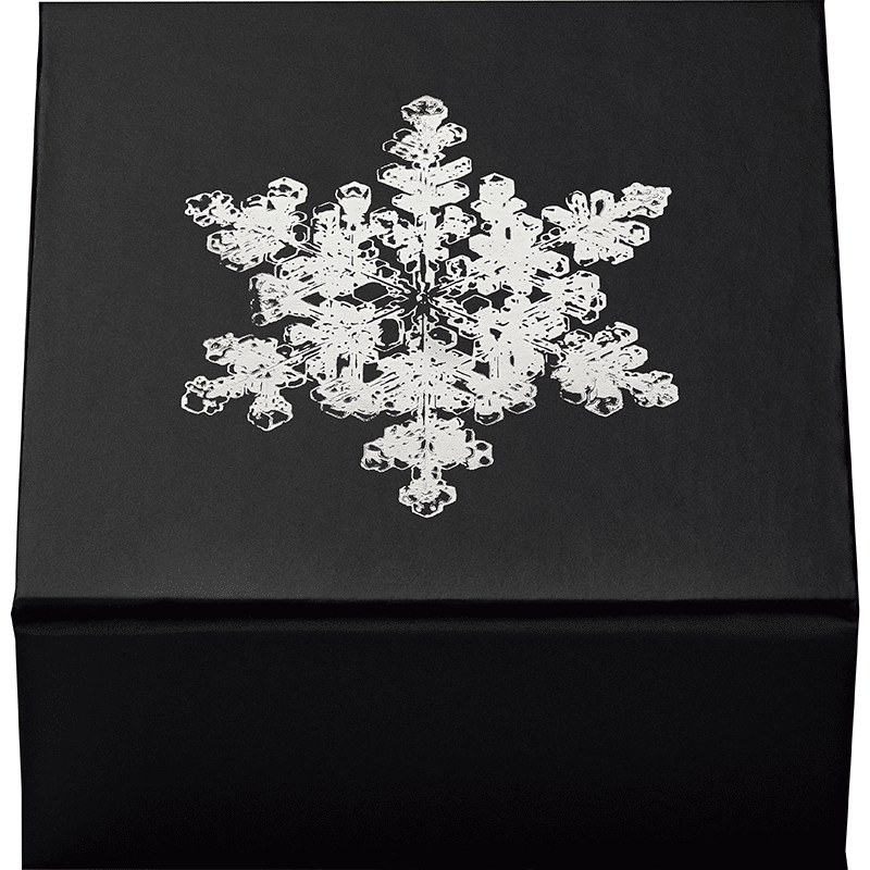 カナダ 2025年 雪の結晶 20ドル銀貨クリスタル付 リバース