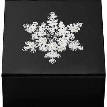 カナダ 2025年 雪の結晶 20ドル銀貨クリスタル付 リバース