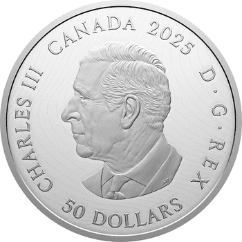 外国コイン　特大　カラーコイン 外国コイン | オンラインショップ | 泰星コイン株式会社