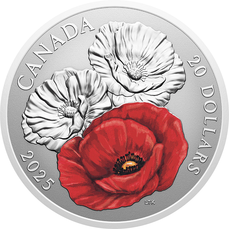 カナダ 2025年 リメンバランス・デー 20ドルカラー銀貨 リバース