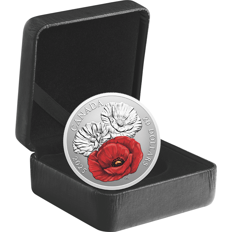 定価70%オフ Carrs Sterling Silver 20x15cm 新品 カナダ 2025年 リメンバランス・デー 20ドルカラー銀貨 リバース