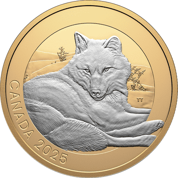 カナダ 2025年 動物たちの肖像 ホッキョクグマ 20ドル銀貨金メッキ付