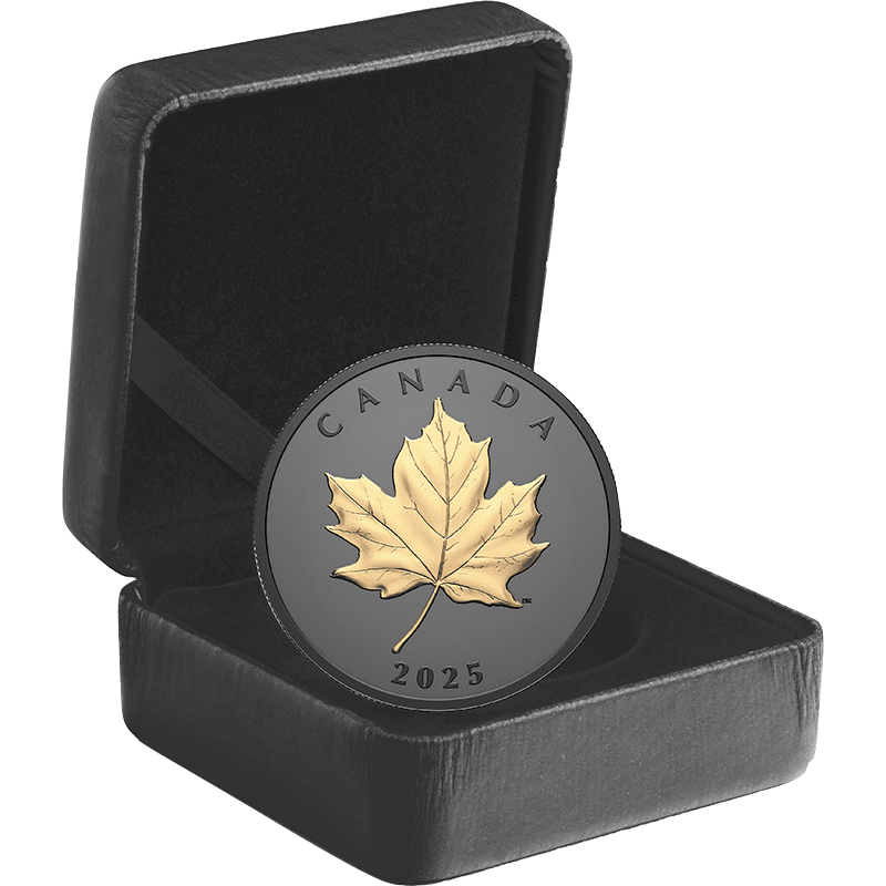 s*o様 ☆2025年▪カナダ20ドル銀貨メイプルリーフ٠ブラックロジウムメッキ カナダ 2025年 エレガントなメイプルリーフ 20ドル銀貨ブラック