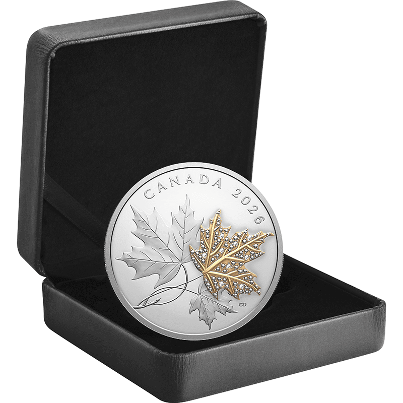カナダ 2026年 魅惑的なメイプルリーフ 30ドル銀貨金メッキ
