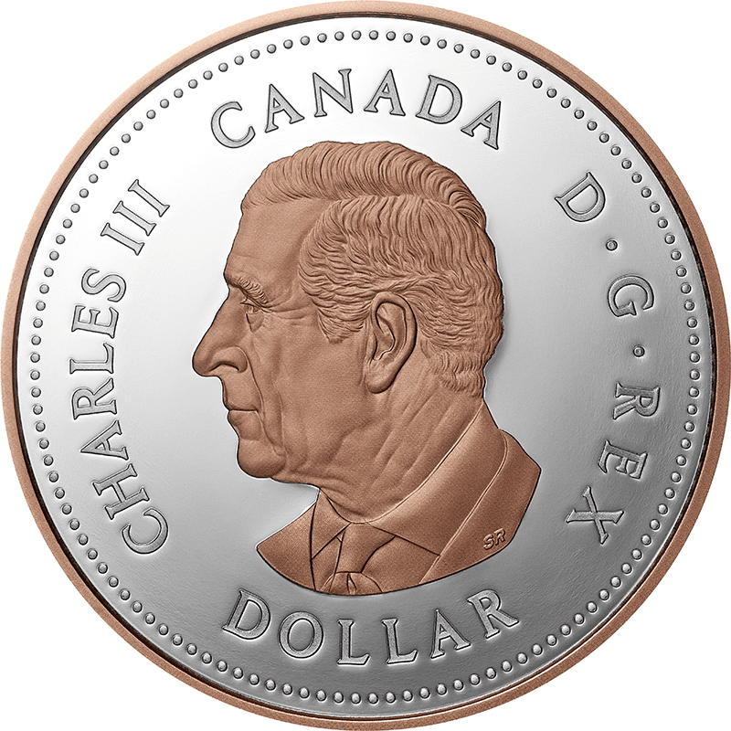カナダ 2026年 王立カナダ退役軍人会設立100周年 記念銀貨入通常貨7種