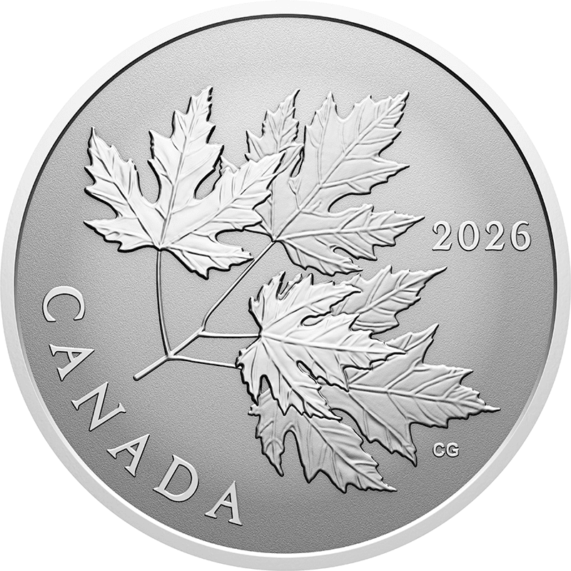 カナダ 2026年 輝くギンヨウカエデ 10ドル銀貨 リバースプルーフ