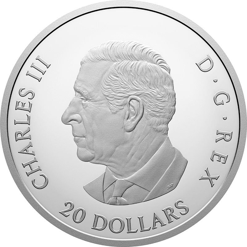 カナダ 2026年 カナダカケス 20ドルカラー銀貨 プルーフ | オンライン