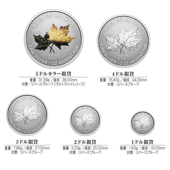 カナダ 2025年 エレガントなメイプルリーフ 20ドル銀貨ブラック