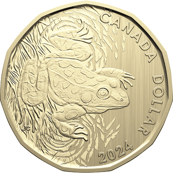 カナダ 2024年 通常貨セット 記念貨入通常貨6種スペシメンセット（5、10、25、50セント、2ドル、記念1ドル貨）
