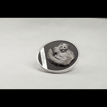 クック諸島 2024年 下からのアングルショット 猫 5ドルカラー銀貨 プルーフ(ウルトラハイレリーフ)