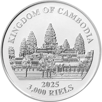 カンボジア 2025年 世界各国の宝 アメリカのバイソン 3000リエル