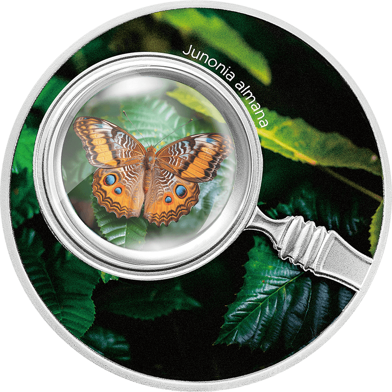 カメルーン 2024年 蝶の世界 タテハモドキ 500フランカラー銀貨