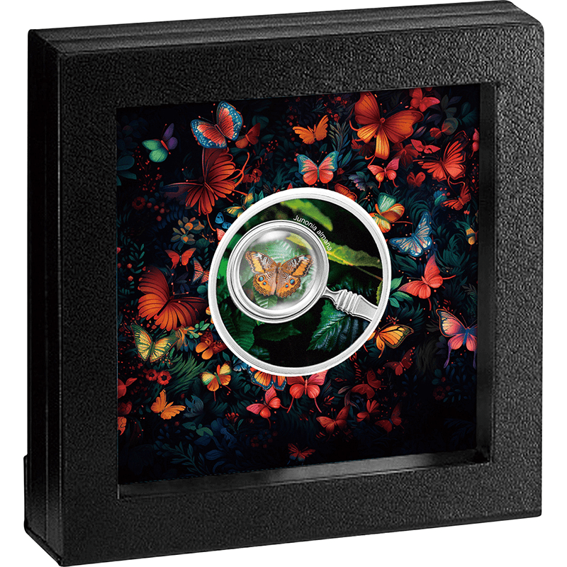 カメルーン 2024年 蝶の世界 タテハモドキ 500フランカラー銀貨