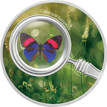 オンラインショップ | 泰星コイン株式会社