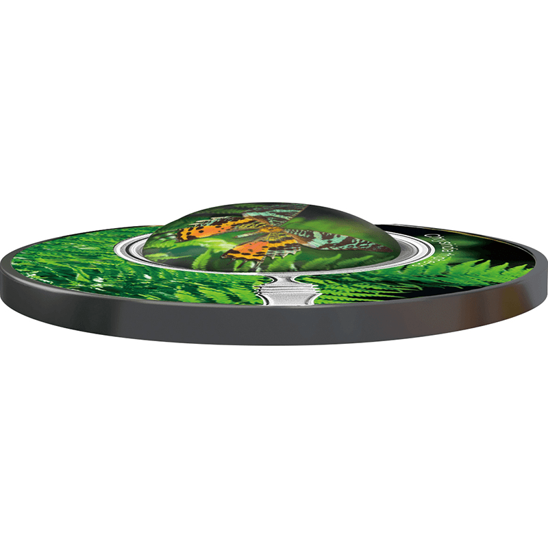 カメルーン 2024年 蝶の世界 マダガスカルサンセットモス 500フラン