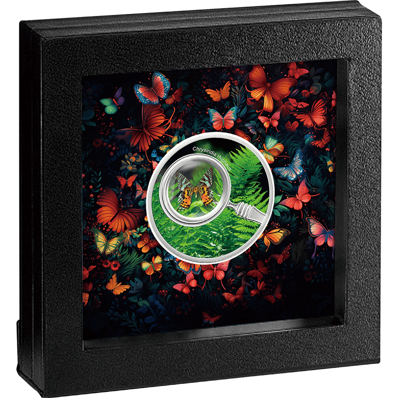 カメルーン 2024年 蝶の世界 マダガスカルサンセットモス 500フラン