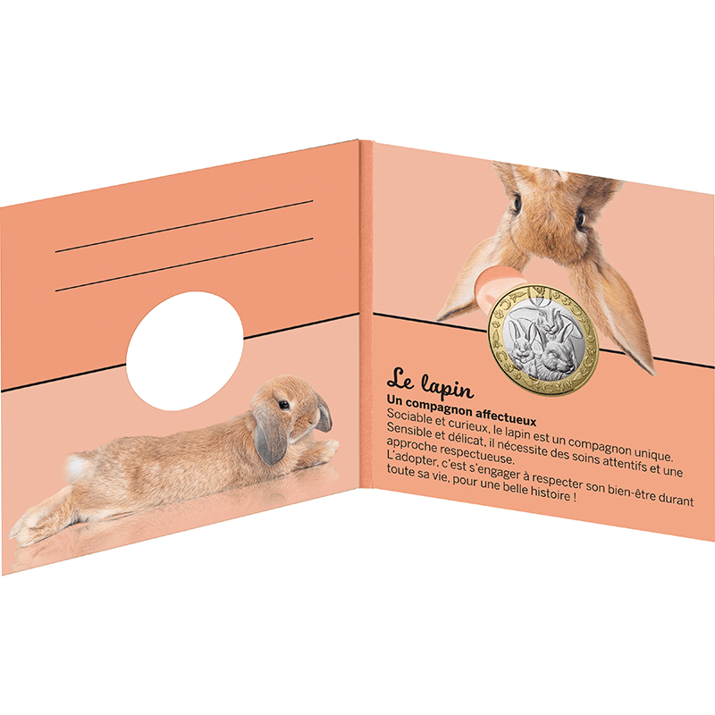 メガバス 限定 フランス 金銀銅ヘッド ( 3個セット ) メガバス 限定 フランス 金銀銅ヘッド ( 3個セット ) メガバス 限定